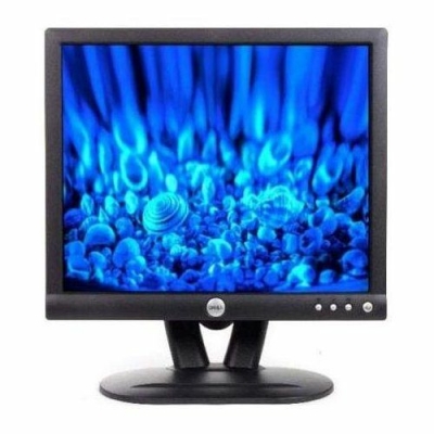 LCD DELL E173FPf 17" 4:3 - Grado A