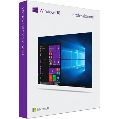 Windows 10 Professional (...