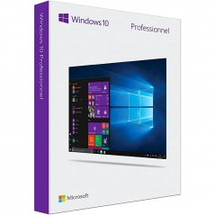 Windows 10 Professional ( Product key )